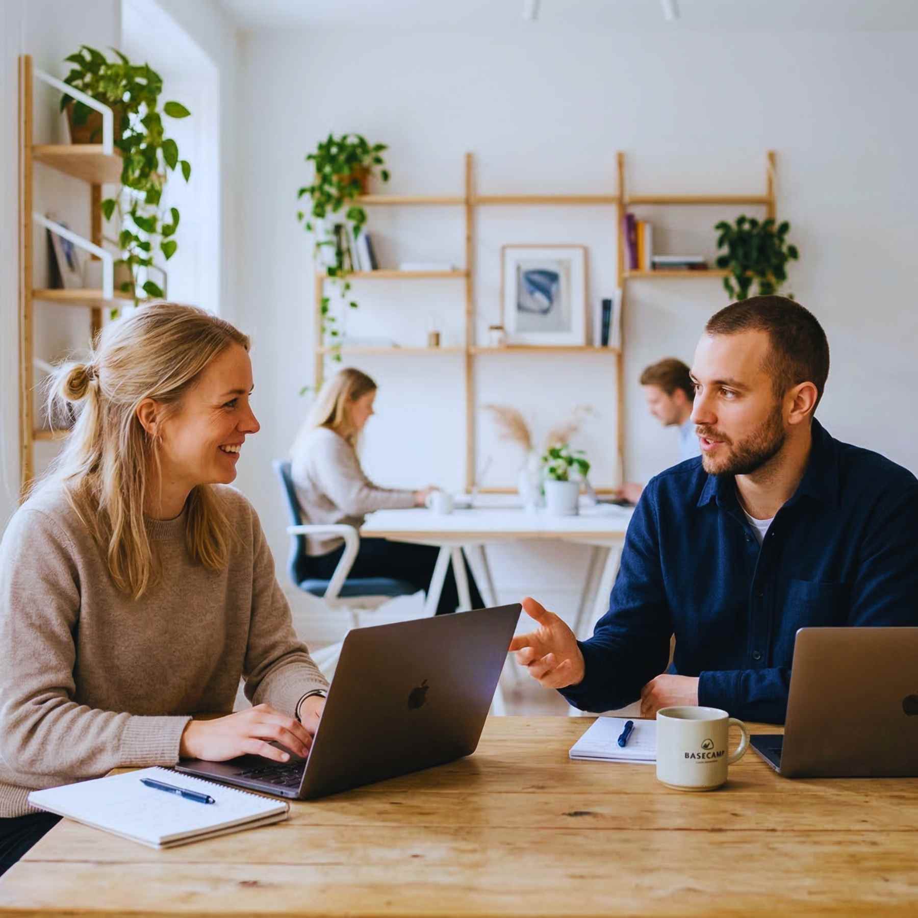 Startup-team i co-working